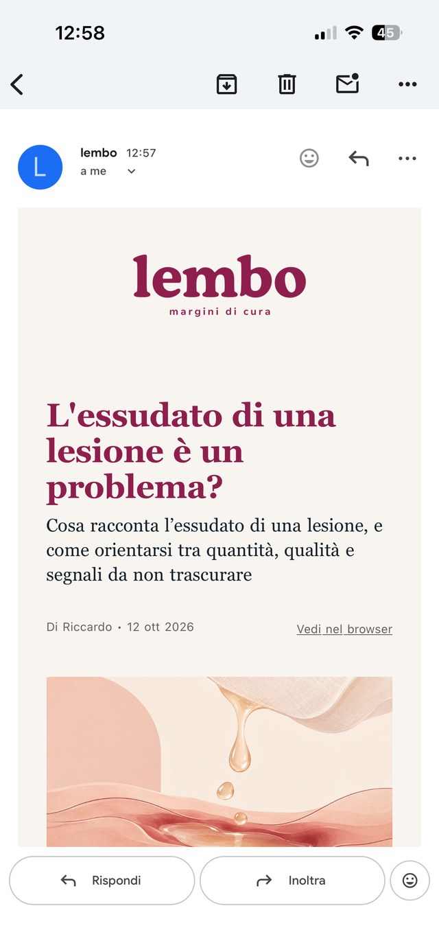 Un articolo di lembo ricevuto via email su telefono